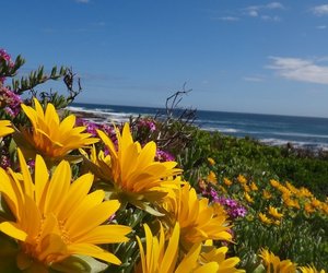 How are you celebrating Earth Hour - Week 12 Weekend Update